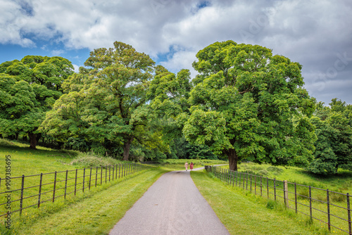 Muckross, Ireland - June 8 2024 