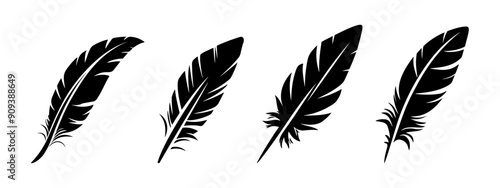 Feather flat black silhouette set. Bird feathers collection.