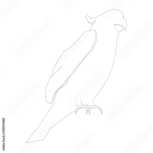 Black and white coloring page. Animals parrot icon. Vector stock illustration. Parrot macaw vector icon. Wild bird illustration.