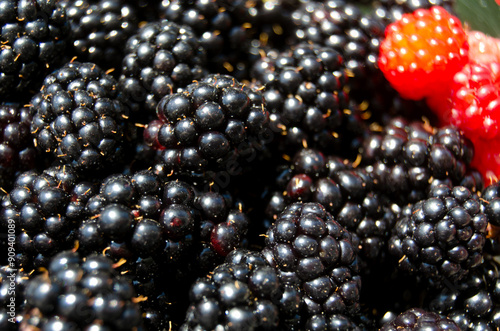 Close-up of Blackberries and Raspberries