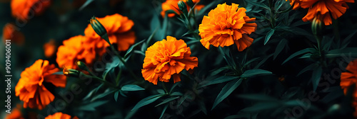 Golden marigold flowers in a sunny garden