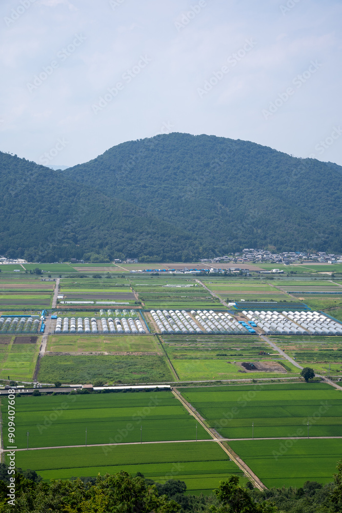 Obraz premium 美しい日本の風景