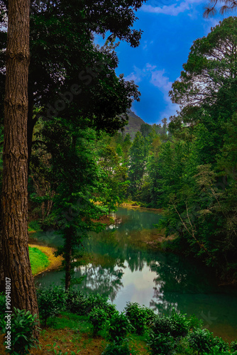 lake in the forest