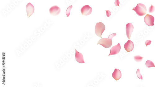 Rose petals or sakura flying petals, romantic background with realistic pink cherry flower petals flow or falling motion. Love, romance, floral spring season,cherry blossom