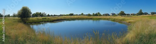 Urban storm pond creates wildlife habitat 