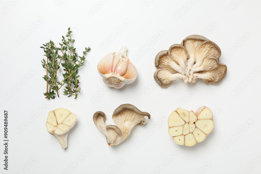 Mushrooms, concept of autumn food, autumn harvest Mushrooms, concept of autumn food, autumn harvest