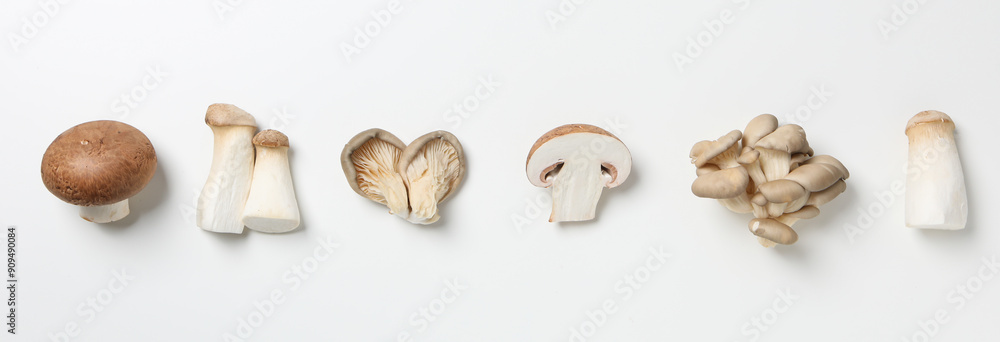 Mushrooms, concept of autumn food, autumn harvest Mushrooms, concept of autumn food, autumn harvest