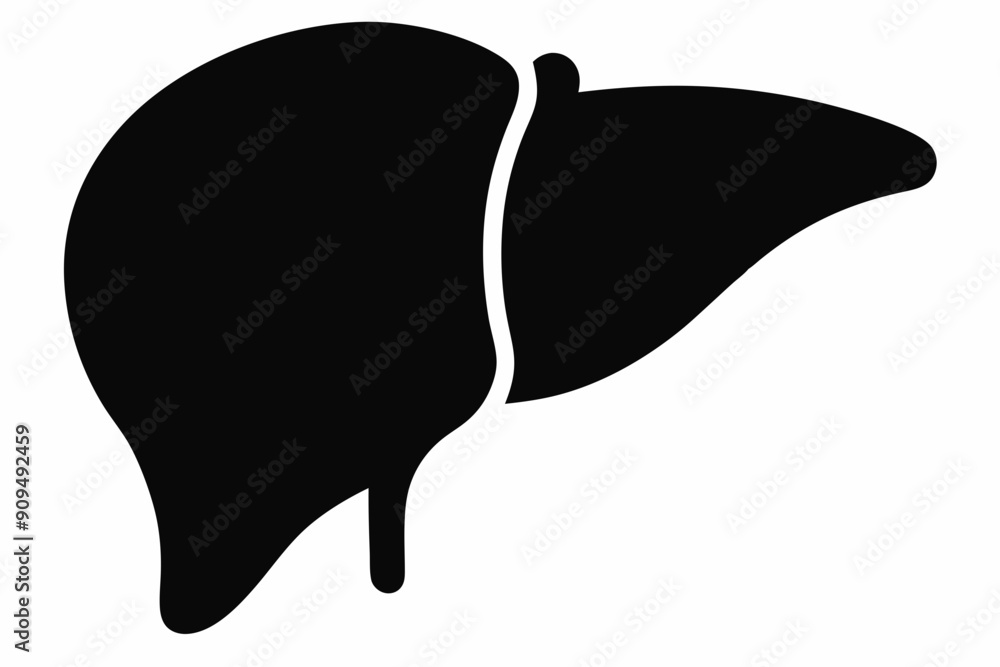 Liver icon, liver vector silhouette Liver icon, liver vector silhouette