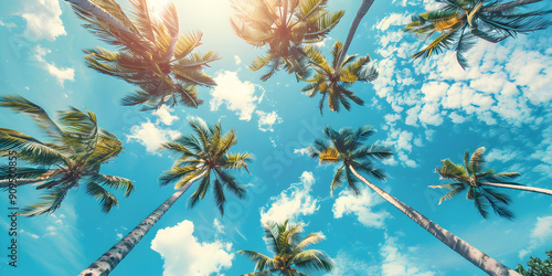 Tropical Background with palm 