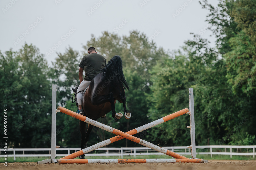 Equestrian rider and horse performing a jump over an obstacle during a training session in an outdoor arena with greenery in the background. Equestrian rider and horse performing a jump over an obstacle during a training session in an outdoor arena with greenery in the background.