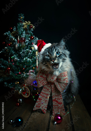 Feliz Navidad