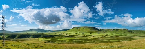 grassy green field with cloudy blue sky - landscape wallpaper