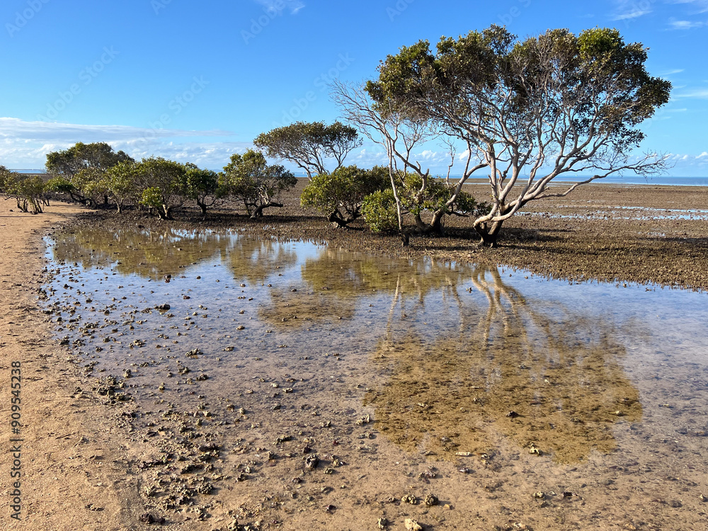 Φωτογραφία Landscape of King Island Wellington Point Brisbane Queensland Australia