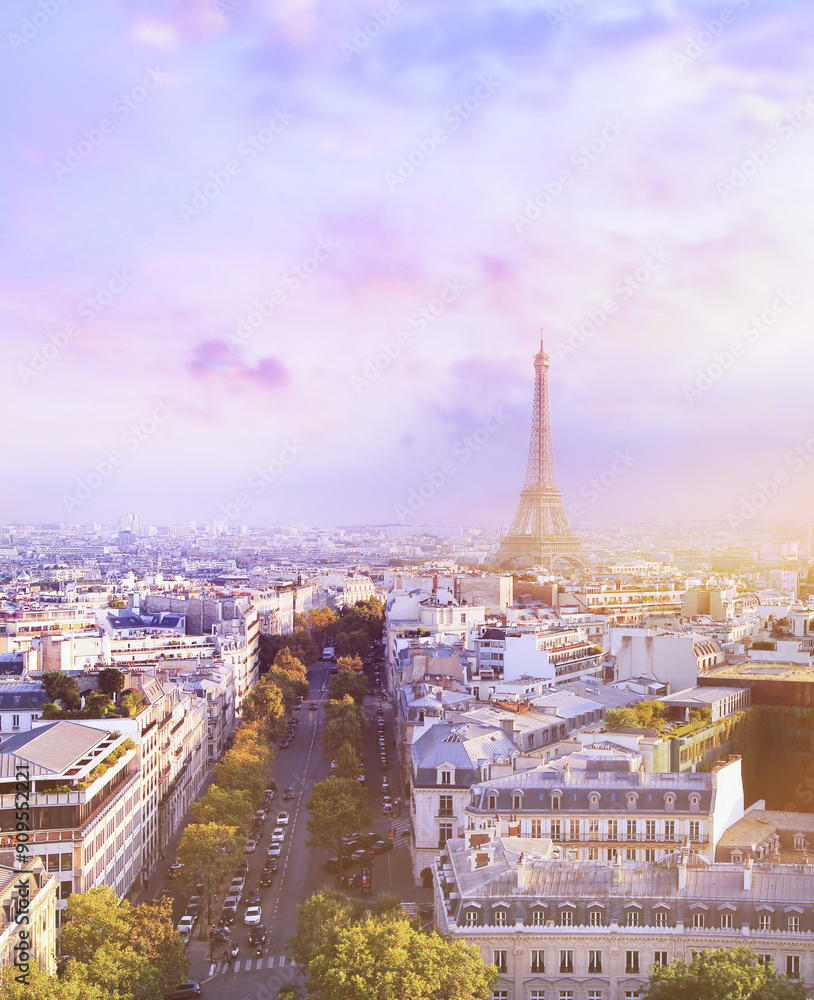 Naklejka premium View of Eiffel tower and Paris.