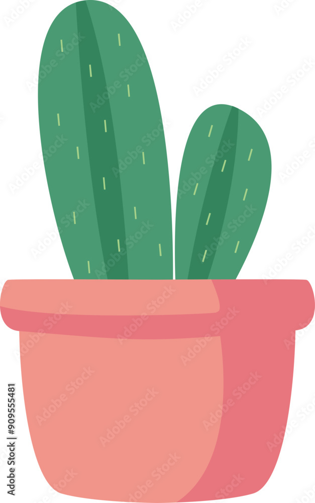 Cute Cactus Plant Cute Cactus Plant
