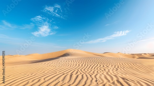 Expansive desert landscape with rolling sand dunes under a clear blue sky