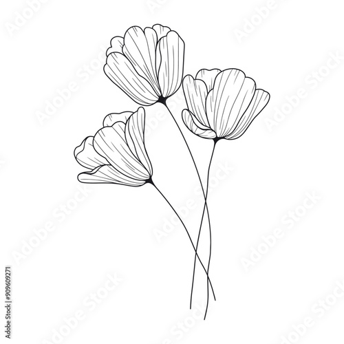 Hand drawn simple flowers outline illustration