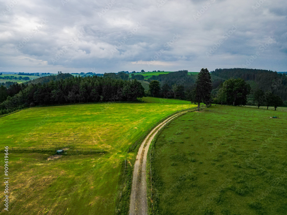 A tranquil aerial view of a countryside road meandering through lush green fields under a cloudy sky. A tranquil aerial view of a countryside road meandering through lush green fields under a cloudy sky.