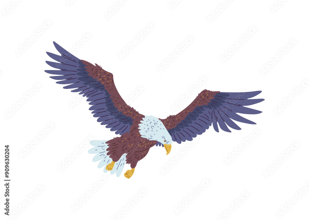 Obraz premium The vector image of a flying bald eagle with wings, beak and tail standing