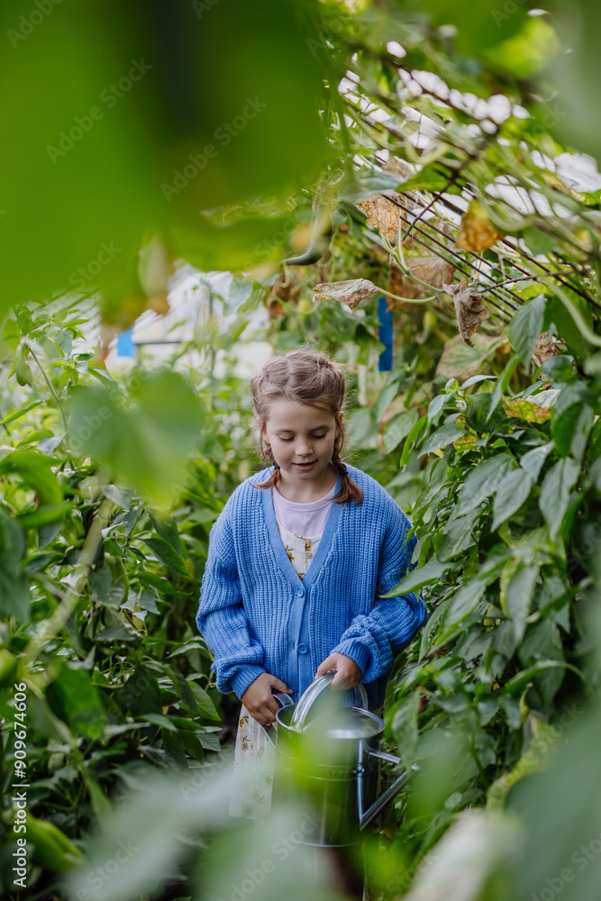 Portrait of a young girl standing in a greenhouse in the middle of growing vegetables. Portrait of a young girl standing in a greenhouse in the middle of growing vegetables.