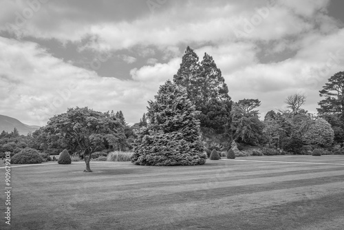 Muckross, Ireland - June 8 2024 