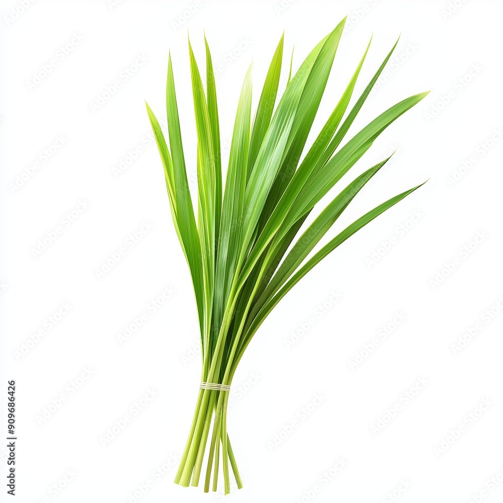 Fresh Lemon Grass Branch on White Background for Food or Cosmetic Design Generative AI Fresh Lemon Grass Branch on White Background for Food or Cosmetic Design Generative AI