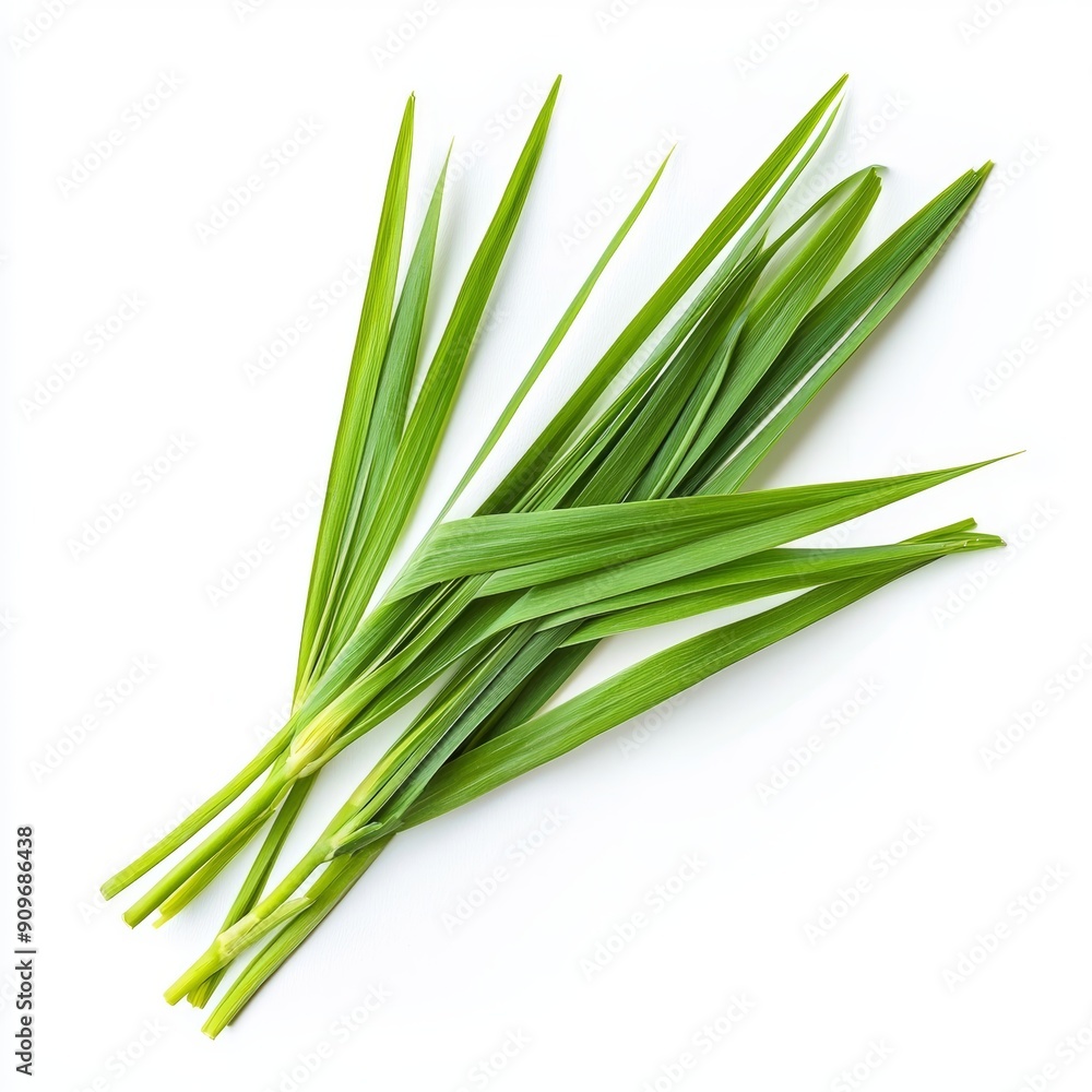 Fresh Lemon Grass Branch on White Background for Food or Cosmetic Design Generative AI Fresh Lemon Grass Branch on White Background for Food or Cosmetic Design Generative AI
