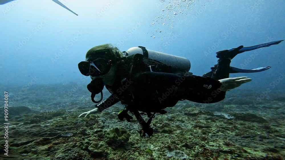 A man in a wetsuit is diving in the ocean. The water is clear and blue A man in a wetsuit is diving in the ocean. The water is clear and blue