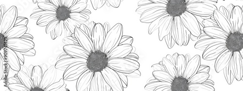 Daisy pattern, hand draw, simple line, black and white. copy space.