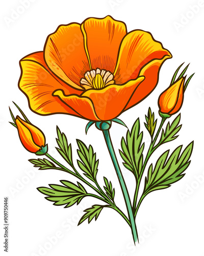 california poppy flower vector colorful t-shirt design,california poppy flower transparent background printable svg design