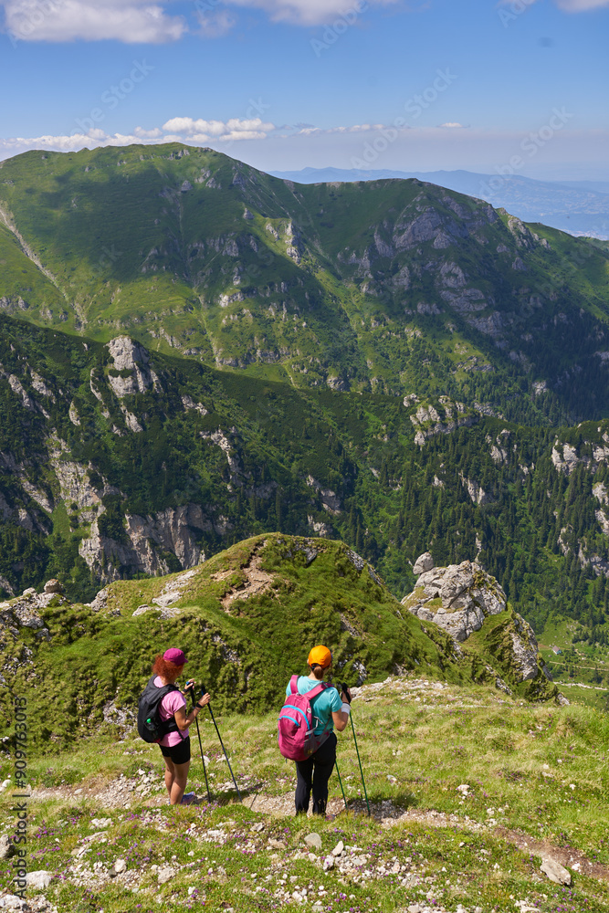 Obraz premium Hiker women with backpacks on a trail