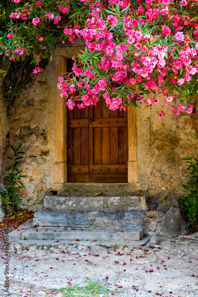 Fototapeta premium Door and Oleander