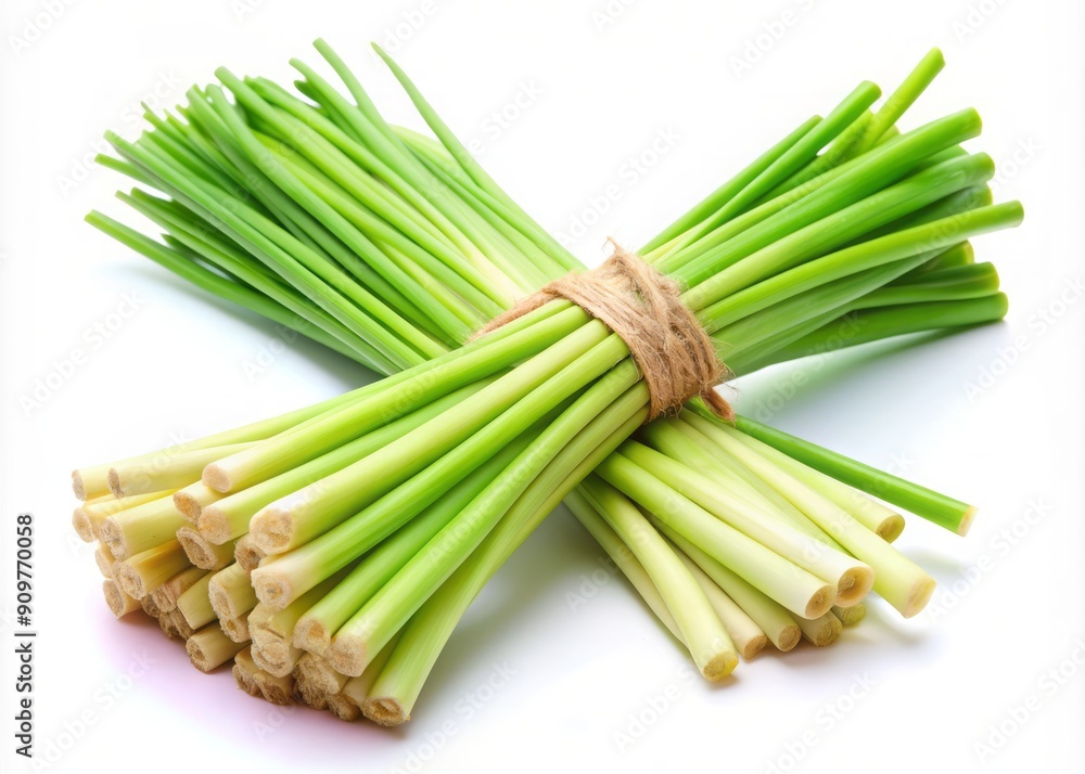 custom made wallpaper toronto digitalFresh lemongrass stalks with a vibrant green hue and feathery tips are isolated on a pure white background, symbolizing healthy and natural ingredients.