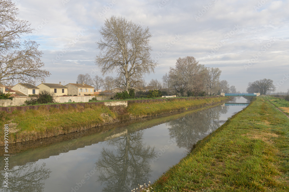 The Canal du Vigueirat in Arles on a calm morning in springtime The Canal du Vigueirat in Arles on a calm morning in springtime