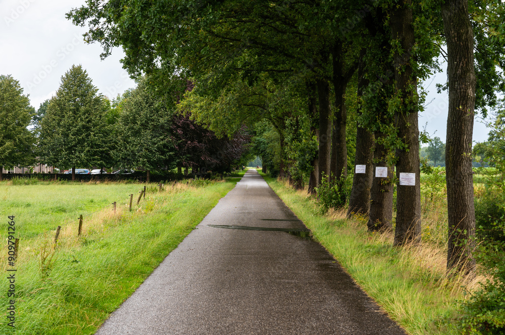 Empty asphalt road at the Dutch countryside around Rossum, Overijssel, The Netherlands Empty asphalt road at the Dutch countryside around Rossum, Overijssel, The Netherlands