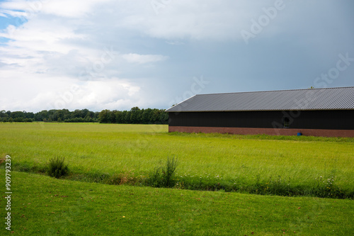 Green meadows and cattle stalls at the Dutch countryside around Weerselo, Overijssel, The Netherlands photo