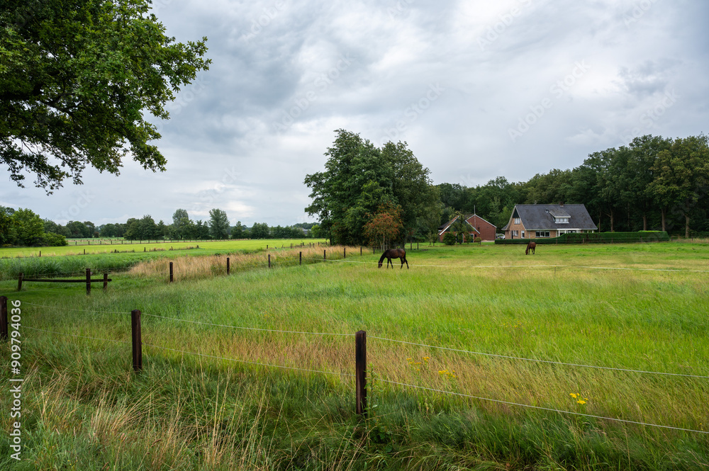 Φωτογραφία Green meadows and farm houses at the Dutch countryside around Ootmarsum, Overijs