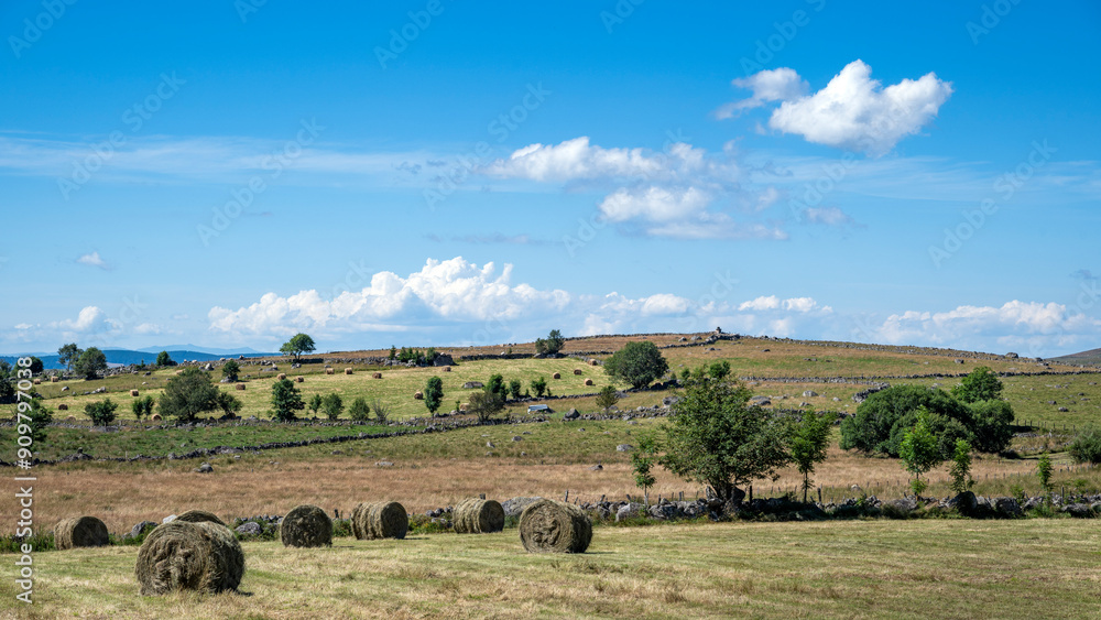 Paysage pittoresque du plateau de l'Aubrac sur le chemin de Saint Jacques de Compostelle en été Paysage pittoresque du plateau de l'Aubrac sur le chemin de Saint Jacques de Compostelle en été