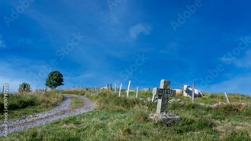 Paysage pittoresque du plateau de l'Aubrac sur le chemin de Saint Jacques de Compostelle en été