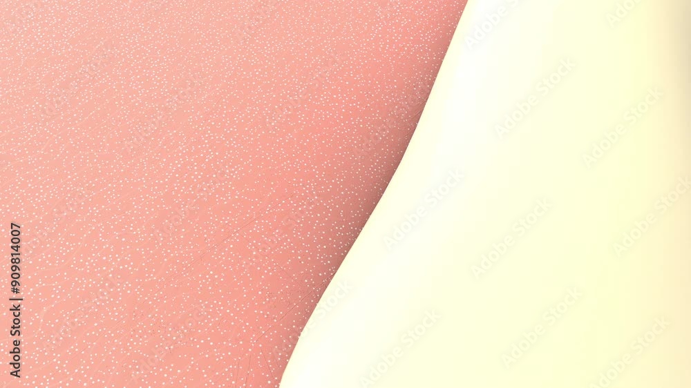 Repair wrinkles and reduce up saggy skin of the skin cell. Skin repair Concept. Repair wrinkles and reduce up saggy skin of the skin cell. Skin repair Concept.