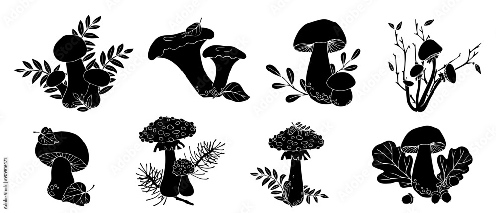 Set of silhouettes of botanical compositions with autumn mushrooms and forest plants, conifers, dry leaves. Vector graphics. Set of silhouettes of botanical compositions with autumn mushrooms and forest plants, conifers, dry leaves. Vector graphics.