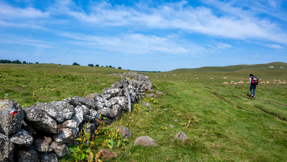 Φωτογραφία Paysage pittoresque du plateau de l'Aubrac dans le département de la Lozère en F