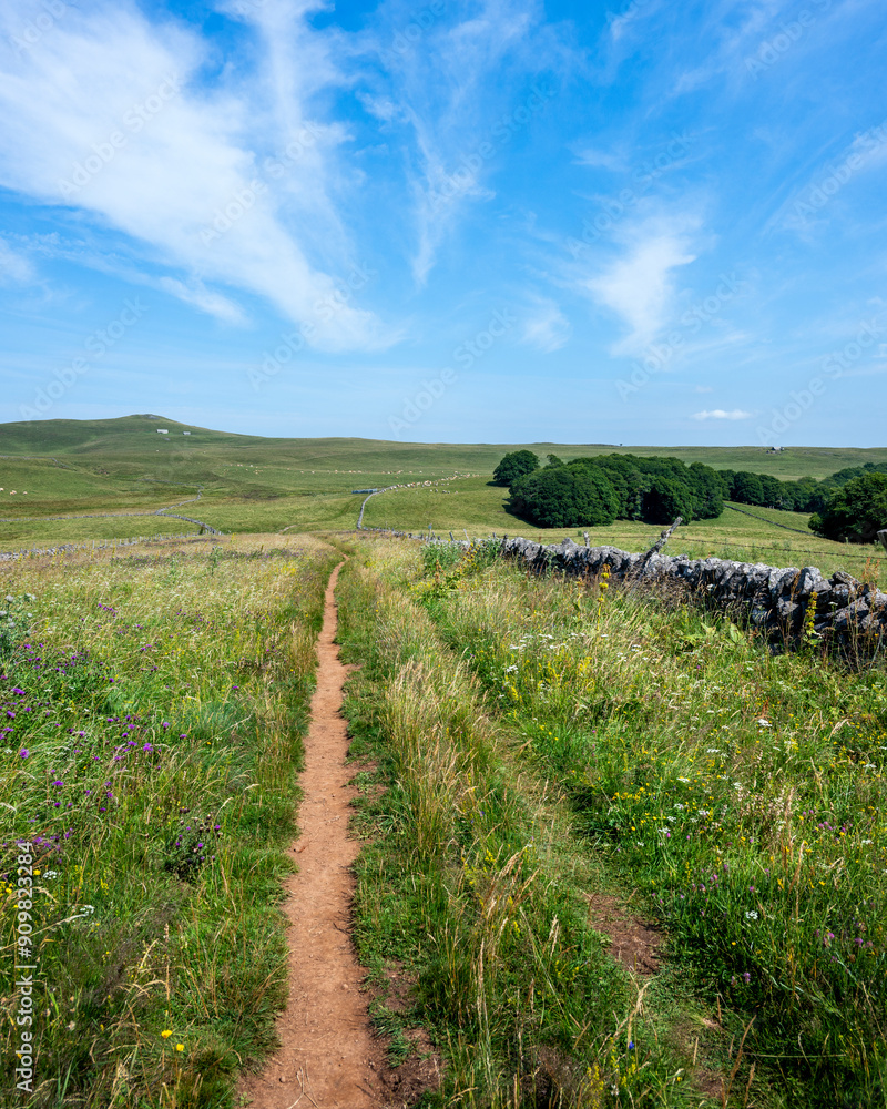 Φωτογραφία Paysage pittoresque du plateau de l'Aubrac dans le département de la Lozère en F