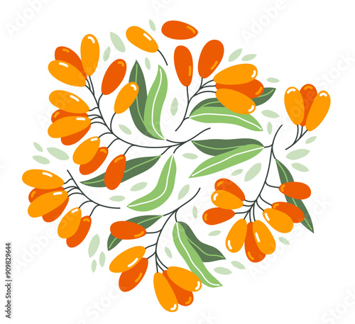 Fresh delicious ripe sea buckthorn berries vector flat illustration isolated on white, natural diet food vegetation tasty eating, forest wild berries series.