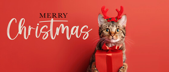 Merry Christmas concept holiday vacation winter greeting card with text - Cool cat with reindeer antlers and red giftbox with ribbon, on red background