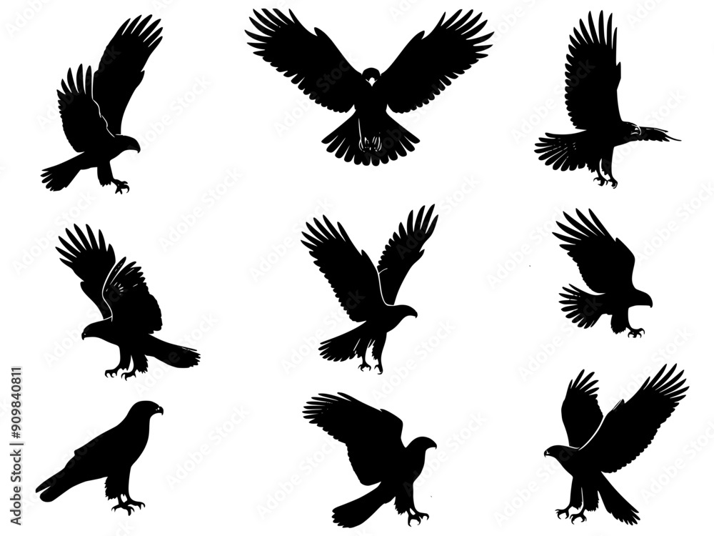 Obraz premium set of silhouettes of Eagle, Eagle silhouette set vector design big pack of illustration and icon
