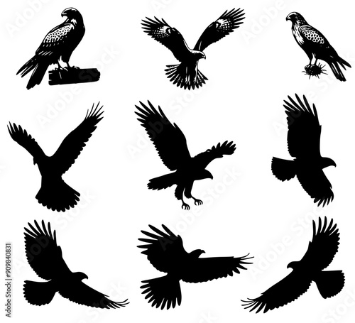 set of silhouettes of Eagle, Eagle silhouette set vector design big pack of illustration and icon