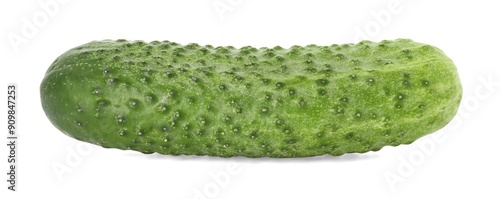 One whole fresh cucumber isolated on white