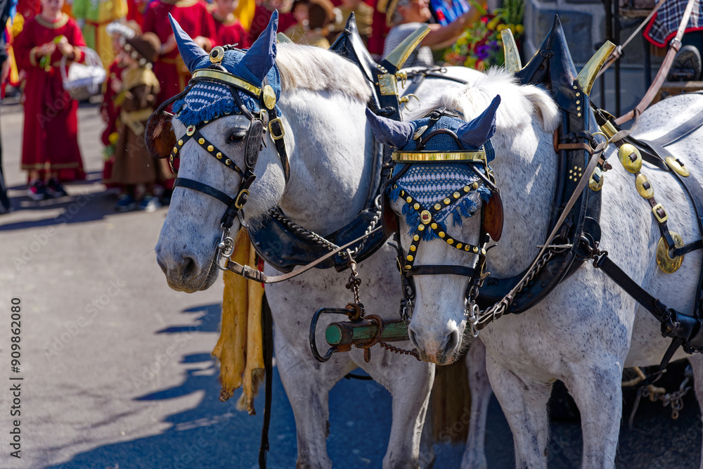 Φωτογραφία White horses pulling carriage at annual traditional spring festival named Sechseläuten at Swiss City of Zürich on a sunny spring day