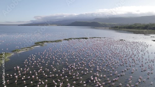 Orbit aerial shot of Lake Elementaita Flamingos photo